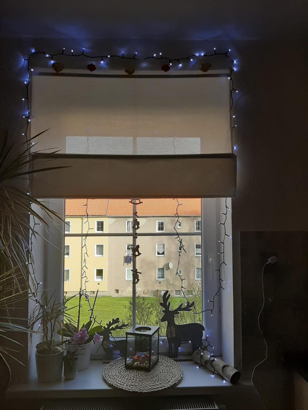 Apartment Riegerovka خب المظهر الخارجي الصورة