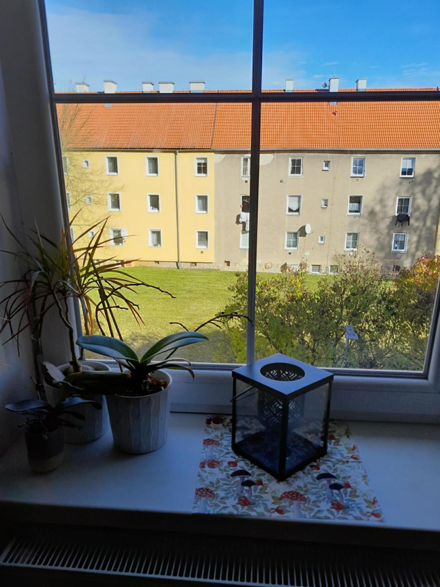 Apartment Riegerovka خب المظهر الخارجي الصورة